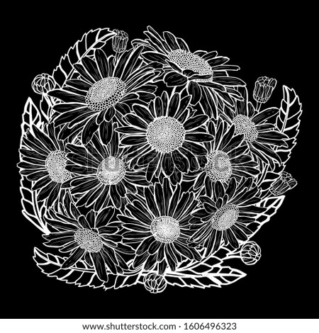 Decorative hand drawn chamomile  flowers, design elements. Can be used for cards, invitations, banners, posters, print design. Floral background in line art style