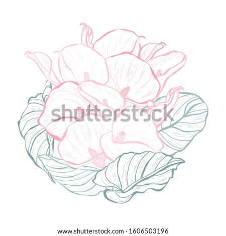 Decorative hand drawn calla flowers, design elements. Can be used for cards, invitations, banners, posters, print design. Floral background in line art style