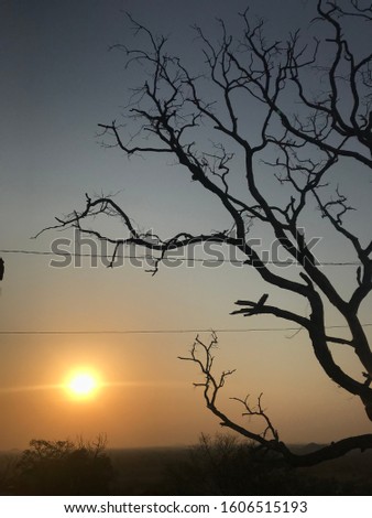 awesome nature silhouette sunset image