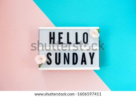 Hello Sunday - text on a display lightbox with flowers carnations on blue and pink background.