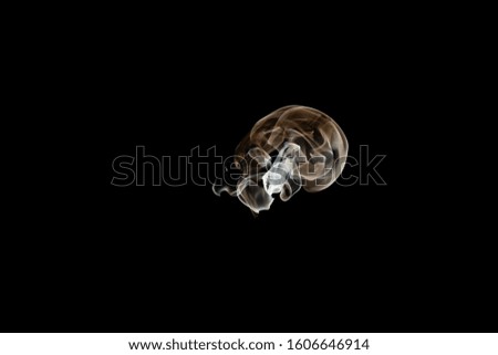 tongues flaming in the shape of a skull on a black background