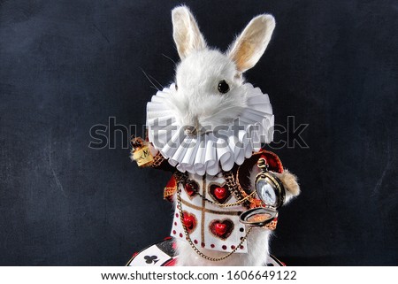 The white rabbit from Alice in wonderland taxidermy  Royalty-Free Stock Photo #1606649122