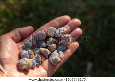 A hand holding Opal rough stones from Lightning Ridge, Australia