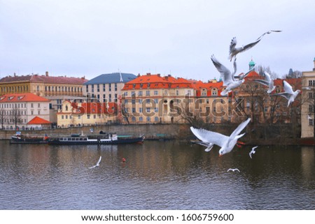 Prague and Vltava river view from Charles bridge