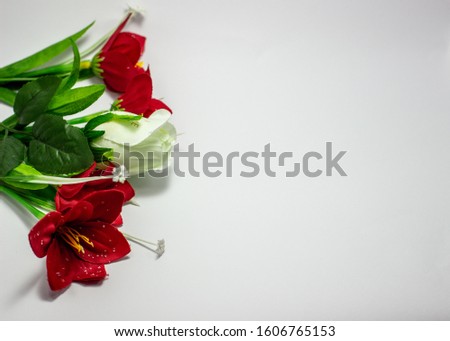 The concept of valentines day with a white background.