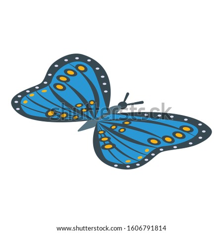 Queen blue butterfly icon. Isometric of queen blue butterfly vector icon for web design isolated on white background