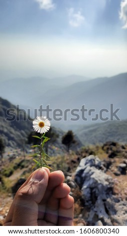 A close up picture of a white flower at the end of a cliff, with a spectacular view. The backdrop has valley covered with all the greenry and the beautiful blue seamless sky