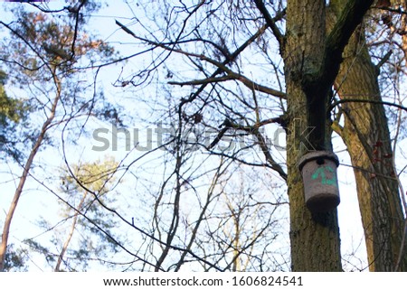 concrete birdhouse hanging on a tree in the forest