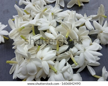 jasmine flower on the table, nature photo object