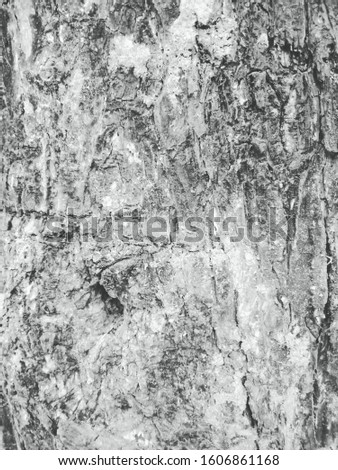Texture, abstract background old dirty wood