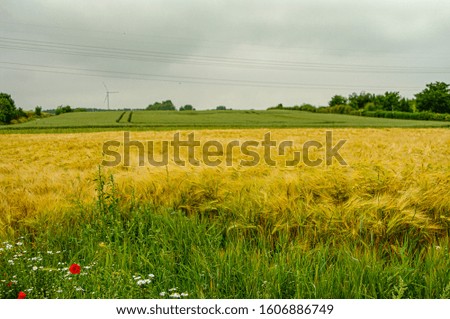 Panoramic view over beautiful green and yellow farm landscape in Germany, with dramatic cloudy sky