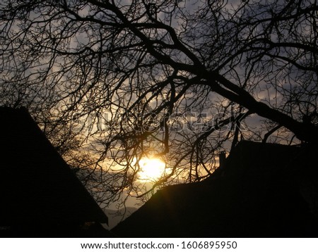Beautiful sunset, behind french houses of a village and branches. This picture was taken in winter, in february 2007.