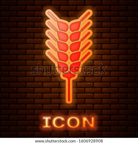 Glowing neon Cereals set with rice, wheat, corn, oats, rye, barley icon isolated on brick wall background. Ears of wheat bread symbols.  Vector Illustration
