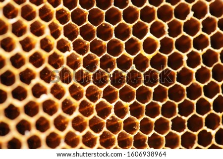 close up golden texture of bee hive background