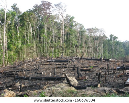 Destroyed tropical rainforest in Amazonia Brazil. Image taken on 20 January 2010 Royalty-Free Stock Photo #160696304