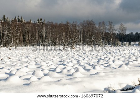 The winter landscape.