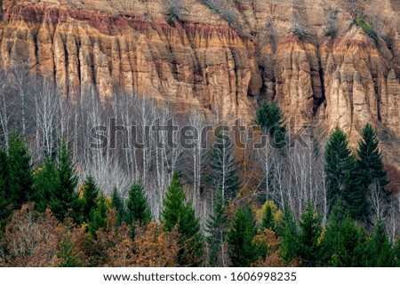 Colorful forest and sand cliffs behind them