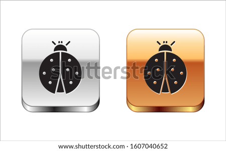 Black Ladybug icon isolated on white background. Silver-gold square button. 