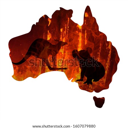 Fire in Australia. Animals killed in Fiers. Catastrophe and apocalypse. Pray for Australia Royalty-Free Stock Photo #1607079880