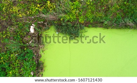 green swamp water surface aerial view