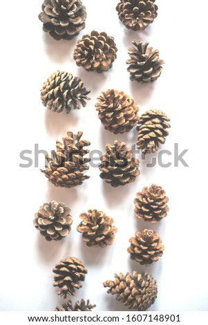 A lot of pine cones of different sizes on a white background. 