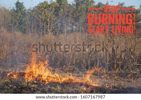 The slogan for stop global warming and stop burning  on the background of fire