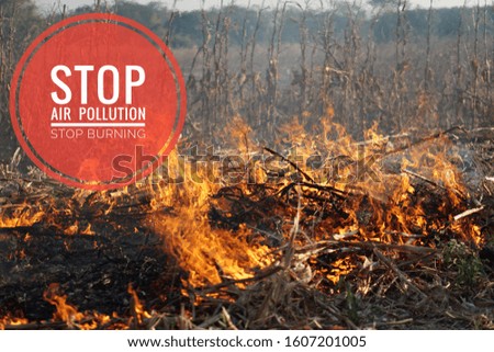 The slogan of stop burning stop air pollution on the background of fire