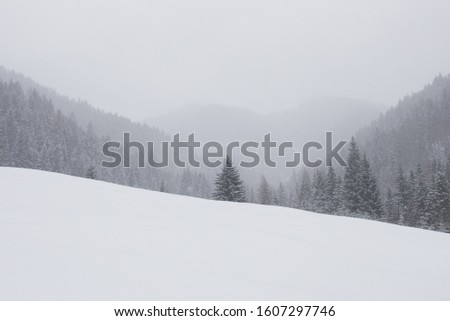 A minimalist winter landscape with snow covered trees.