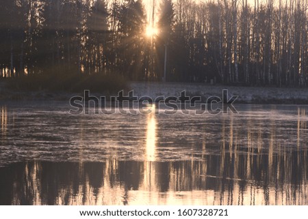 reflections of trees on ice