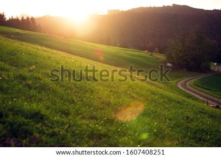 beautiful landscape. morning in the mountains. meadow in the morning sun
