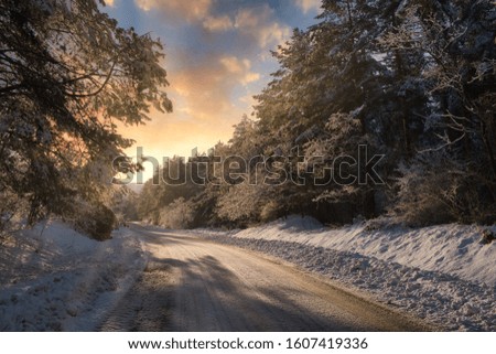 Winter slippery road in the forest