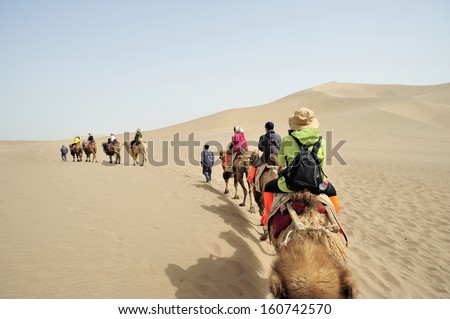 Camel team in Singing Sands Mountain Royalty-Free Stock Photo #160742570