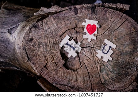 A picture of jigsaw put on a tree stump and write that I love you