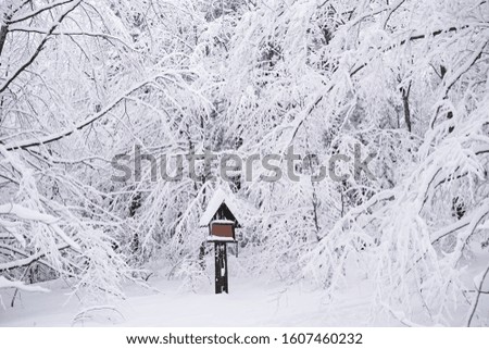 Wooden sign covered with snow in Polish standing in a scenic forest park in the middle of the wintertime