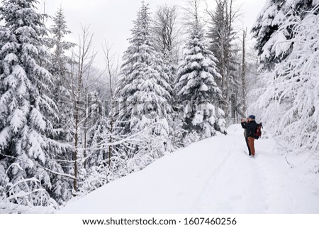 Young couple in hiking gear taking photos of a snow covered landscape while out walking together in a forest in the winter