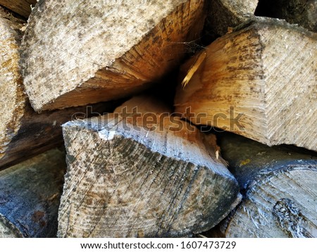 Firewood stacked chopped. A tree chopped for the furnace firebox.