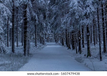 First small winter hike along the Rennsteig through the Thuringian Forest - Oberhof/Germany
