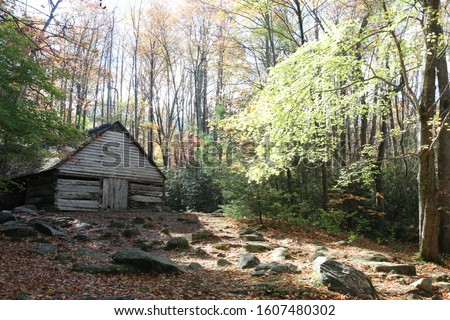 a log cabin out in the woods