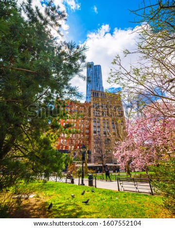 Magnolia Trees in Blossom at City Hall Park in Lower Manhattan, New York, USA. View with Skyline of Skyscrapers architecture in NYC. Nature background. Urban cityscape. NY, US. Mixed media.