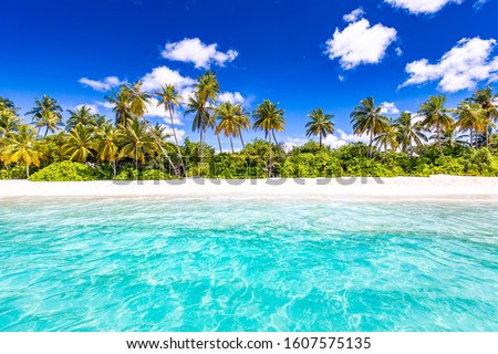 Beach nature concept. Palm beach in tropical idyllic paradise island. Exotic landscape for dreamy and inspirational summer scenery use for background or wallpaper Royalty-Free Stock Photo #1607575135