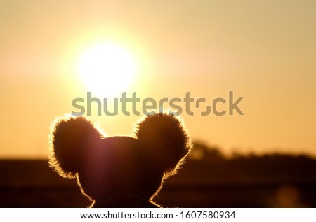 Close up back of soft toy koala bear head against sunlight. Fiery red sky and sunset. Thought and prayers. Pray for Australia. Royalty-Free Stock Photo #1607580934