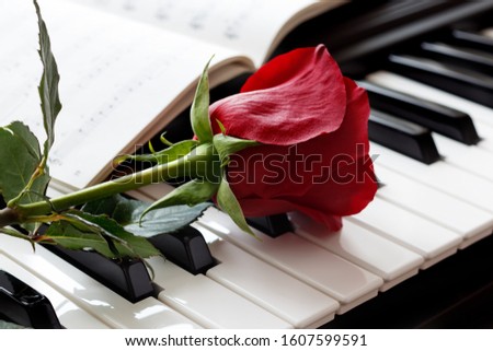 beautiful red rose and music notebook on piano keys close-up with blurred background, as a gift, as a background for the designer