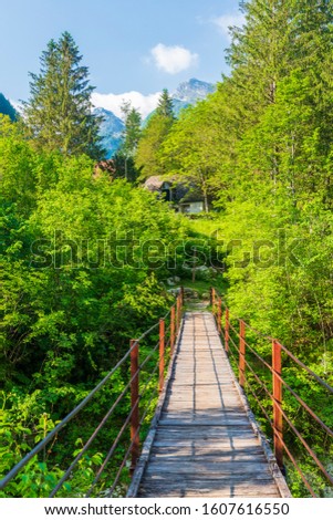 Rope bridge on the river Soca, Triglavski national park, Slovenia