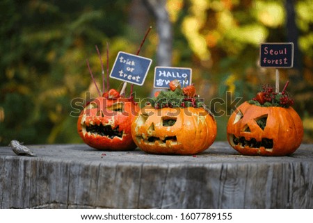 Halloween Pumpkin on display in Seoul Forest
