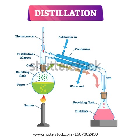 Distillation vector illustration. Labeled physical substance separation process explanation scheme. Diagram with equipment for boiling and condenser flasks. Chemistry method graphic for clean liquid. Royalty-Free Stock Photo #1607802430