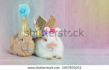 Two adorable rabbits sitting with glitter party hat with blue pompom and gold crown decorated with colorful flowers. Easter, wedding, baby shower, birthday concept