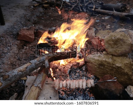 The campfire from firewood grills meat