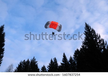 A parachutist is landing on a forest.
