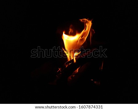 Wood burning fire orange flame