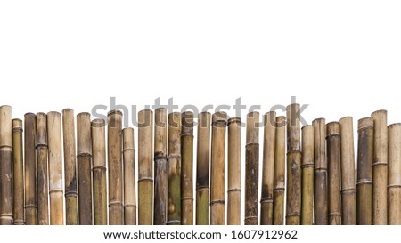 The edge of a bamboo wall isolated on a white background.